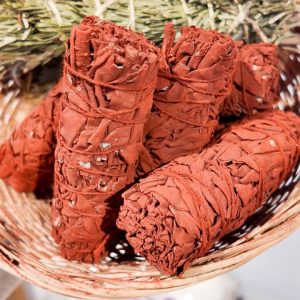 Sauge sang rouge du dragon