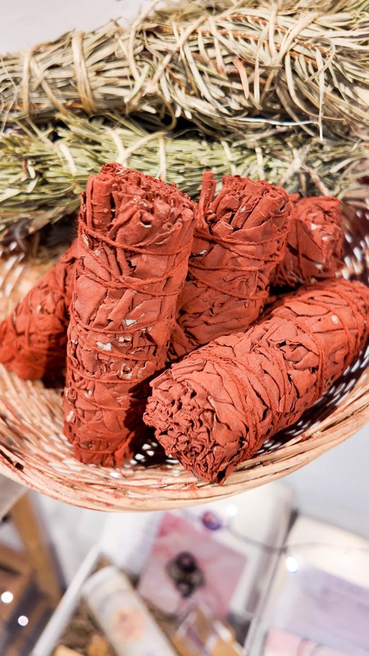 Sauge sang rouge du dragon